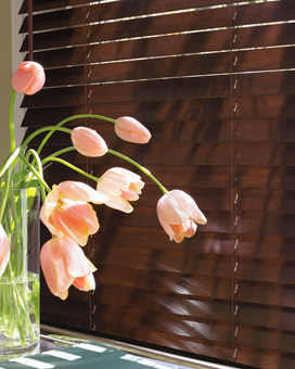 Horizontal Blinds - Vertical Blinds - Insulating Blinds - Window Blinds - Orlando